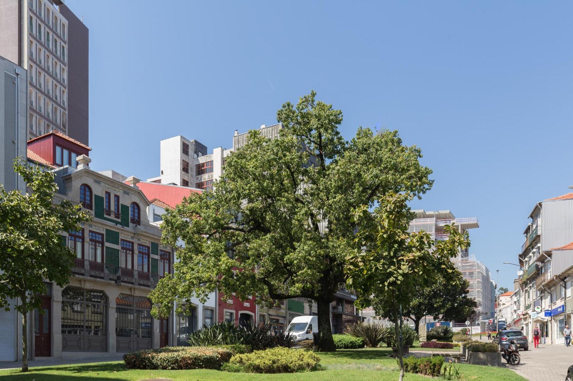 Qp Apartments Trindade ポルト エクステリア 写真